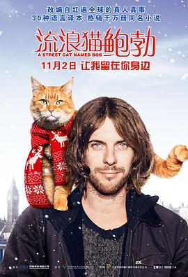 流浪猫鲍勃（国语）