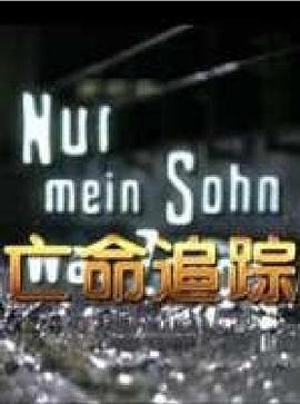 亡命追踪（国语）
