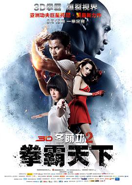 冬荫功2：拳霸天下（国语）