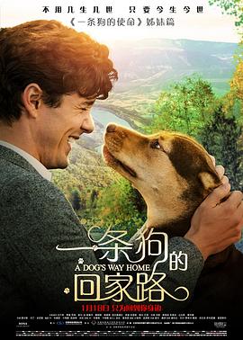 一条狗的回家路（国语）